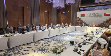 Делегация во главе с Рыженковым приняла участие в заседании Белорусско-Оманского совместного комитета по сотрудничеству и инвестициям