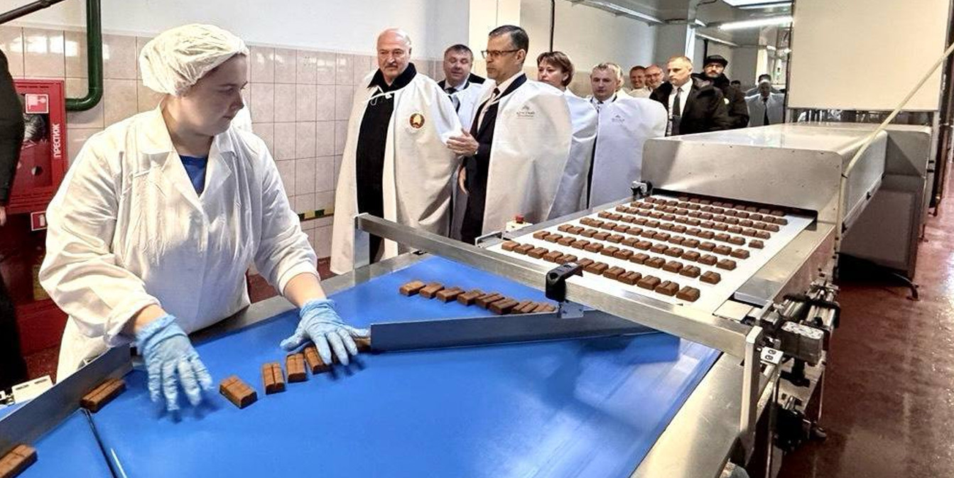 Сельское хозяйство и «кондитерка». Президент приехал в Наровлянский район