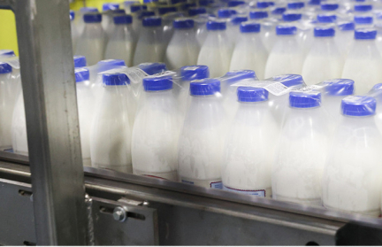 Беларусь получила право свободно торговать молочной продукцией в Алжире