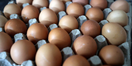 В Беларуси утвердили новые правила торговли продуктами животного происхождения