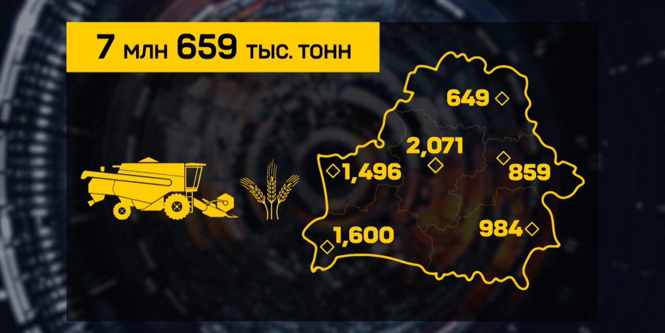 Урожай радует: в Беларуси намолотили свыше 7,6 млн тонн зерна
