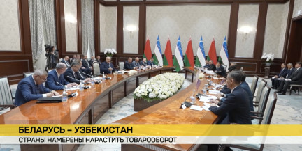 Белорусская делегация работала в Узбекистане: о чем договорились