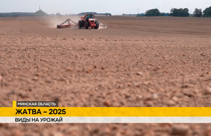 Аграрии наращивают темпы сева озимого рапса