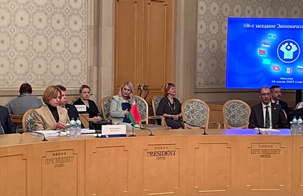 Беларусь приняла участие в заседании Экономического совета СНГ в Москве