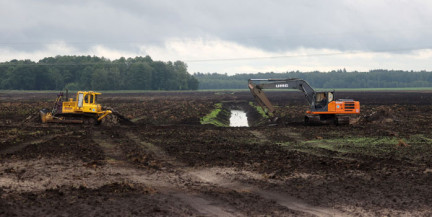 Президент Беларуси: развитие Припятского Полесья должно опираться на сохранение плодородных земель