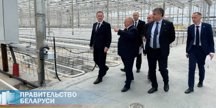 Александр Турчин посетил агрокомбинат «Ждановичи» в Минском районе