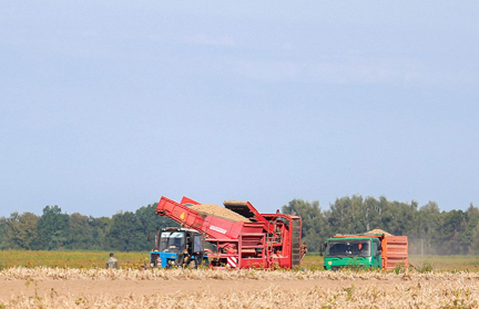 «Так, мужики, дело не пойдет». Александр Лукашенко потребовал усилить культуру земледелия