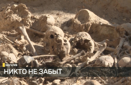 Новые подтверждения преступлений немецких карателей. Как продвигается расследование дела о геноциде белорусского народа