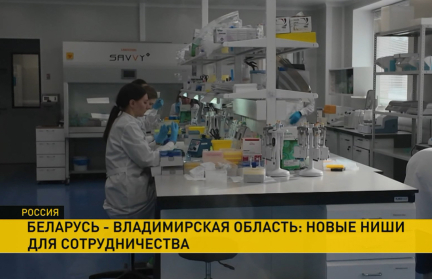 Беларусь и Россия: о перспективах для Минска от сотрудничества с Владимирской областью