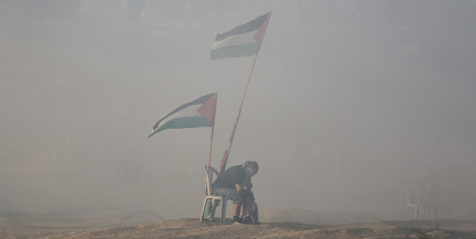 NYT: Совет мира готов передать Трампу полномочия по управлению Газой