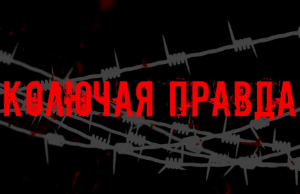 Телефонный ТЕРРОРИЗМ и УГРОЗЫ минирования: как радикалы хотели устроить панику во время ВНС