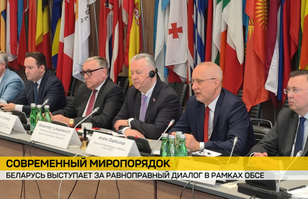 Беларусь и Россия провели в Вене круглый стол, посвященный Хельсинкским соглашениям