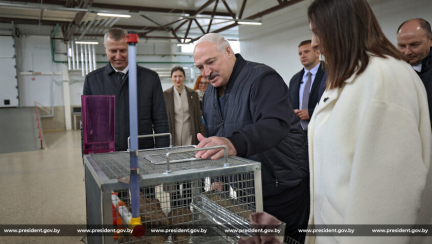 «Меньше говорить – больше делать». А. Лукашенко провел совещание по развитию птицеводства