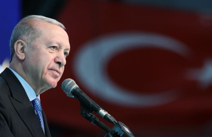 Путин и Эрдоган провели переговоры на полях саммита ШОС