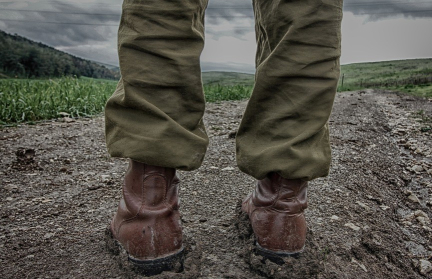 Почему Прибалтика хочет войны на Украине, объяснил Боуз