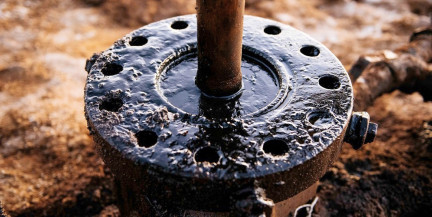 Сколько черного золота добыли в Беларуси?