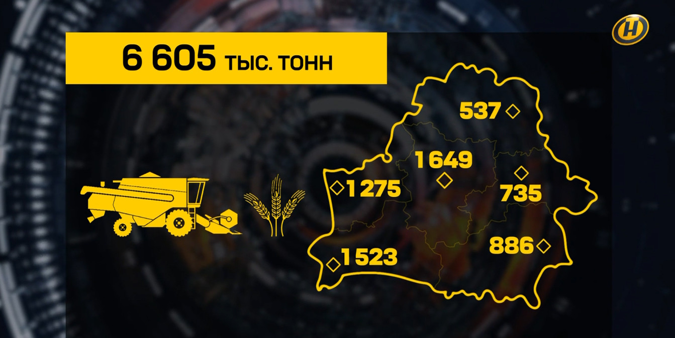 Инфографика телеканала ОНТ о ходе уборочной кампании: карта Беларуси с намолотом зерна по областям в тысячах тонн и общим результатом в 6 605 тыс. тонн.