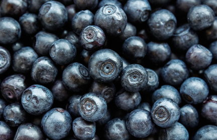 В Беларуси на бирже впервые продана свежая черника