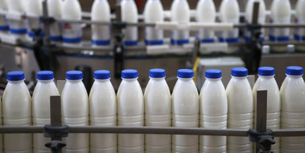 Вступают в силу новые минимальные экспортные цены, утвержденные Минсельхозпродом