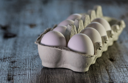 Yle: Финляндия отказалась поставлять яйца в США