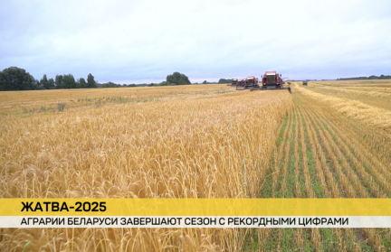 Минсельхозпрод: урожай превысил прошлогодние показатели, несмотря на погодные трудности