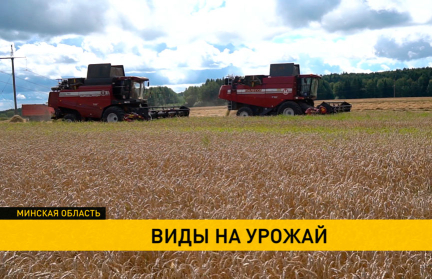 Тысячные рекорды, сюрпризы от агрономов и старт новой посевной. Хлебный марафон уже на финише