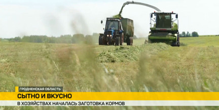 Сельхозпредприятия Беларуси приступили к первому укосу трав для кормозаготовки