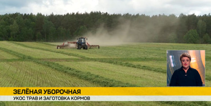 Сельхозпредприятия Беларуси наращивают заготовку люцерны на зиму