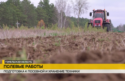 Уборочная кампания подходит к финишу, но полевые работы продолжаются