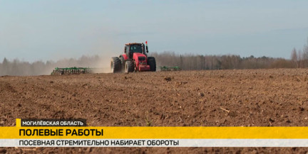 Посевная в разгаре: аграрии Беларуси засеяли треть яровых культур. Репортаж ОНТ