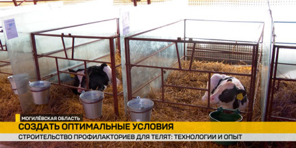 Опыт применения различных технологий в животноводстве обсудили на семинаре-практикуме в Могилевской области