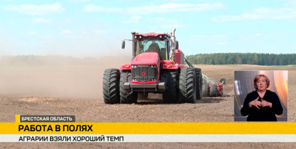 На Брестчине продолжается, сев ярового рапса