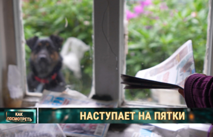 Журналисты, историки и еще десяток профессий. Кто рискует лишиться работы из-за ИИ в Беларуси?