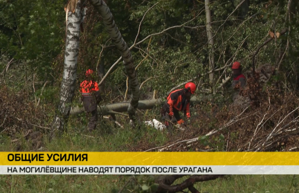 Как в Могилевской области наводят порядок после урагана – репортаж ОНТ