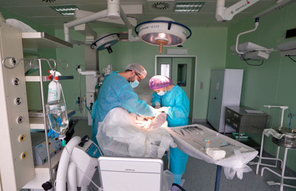 Белорусские трансплантологи спасают до тысячи жизней в год – в 5 раз быстрее и в 10 раз дешевле, чем на Западе