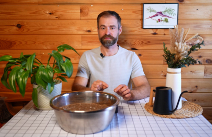 Что можно вырастить дома зимой, рассказал садовник Кастрицкий