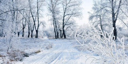 Ночь на 14 января стала самой холодной с 2021 года – Белгидромет