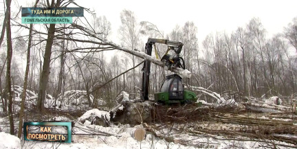 Морозы в помощь. Зимой продолжается ликвидация последствий летнего урагана