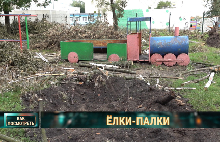 Могилевская область – эпицентр стихии: об июльских ураганах в Беларуси – в репортаже ОНТ