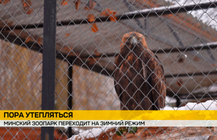 Минский зоопарк переходит на зимний режим