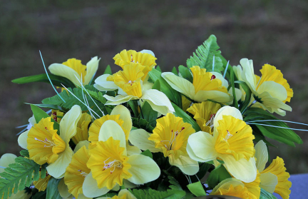 Чем вместо искусственных цветов можно украсить могилу на кладбище, рассказали специалисты