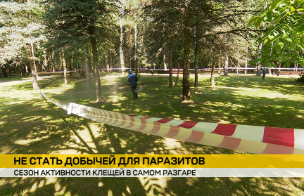 Сезон клещей в Беларуси: более 16 тысяч обращений к медикам – сюжет ОНТ