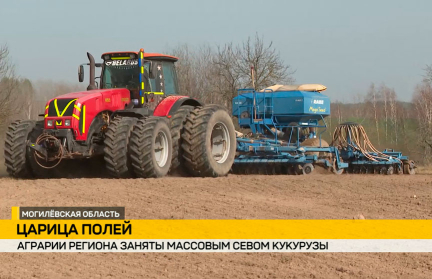 Невзирая на капризы мая. Белорусские аграрии приступили к массовому севу кукурузы и кормозаготовке