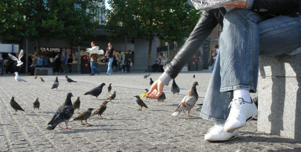 Белорусам грозит большой штраф за «доброе дело»: за что и какова сумма