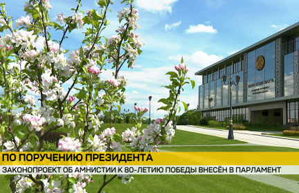В Парламент по поручению Президента Беларуси внесен законопроект об амнистии в связи с 80-летием Победы