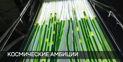 От бионических протезов к Марсу: белорус Илья Чех инвестировал в проект жизнеобеспечения космонавтов