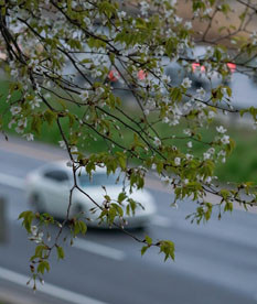 Жизнь не будет прежней: что изменится с 1 мая в Беларуси