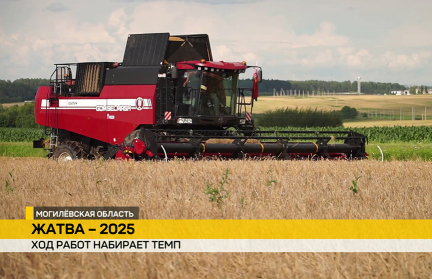 В хозяйстве «Заря» на Могилевщине завершают уборку озимого ячменя