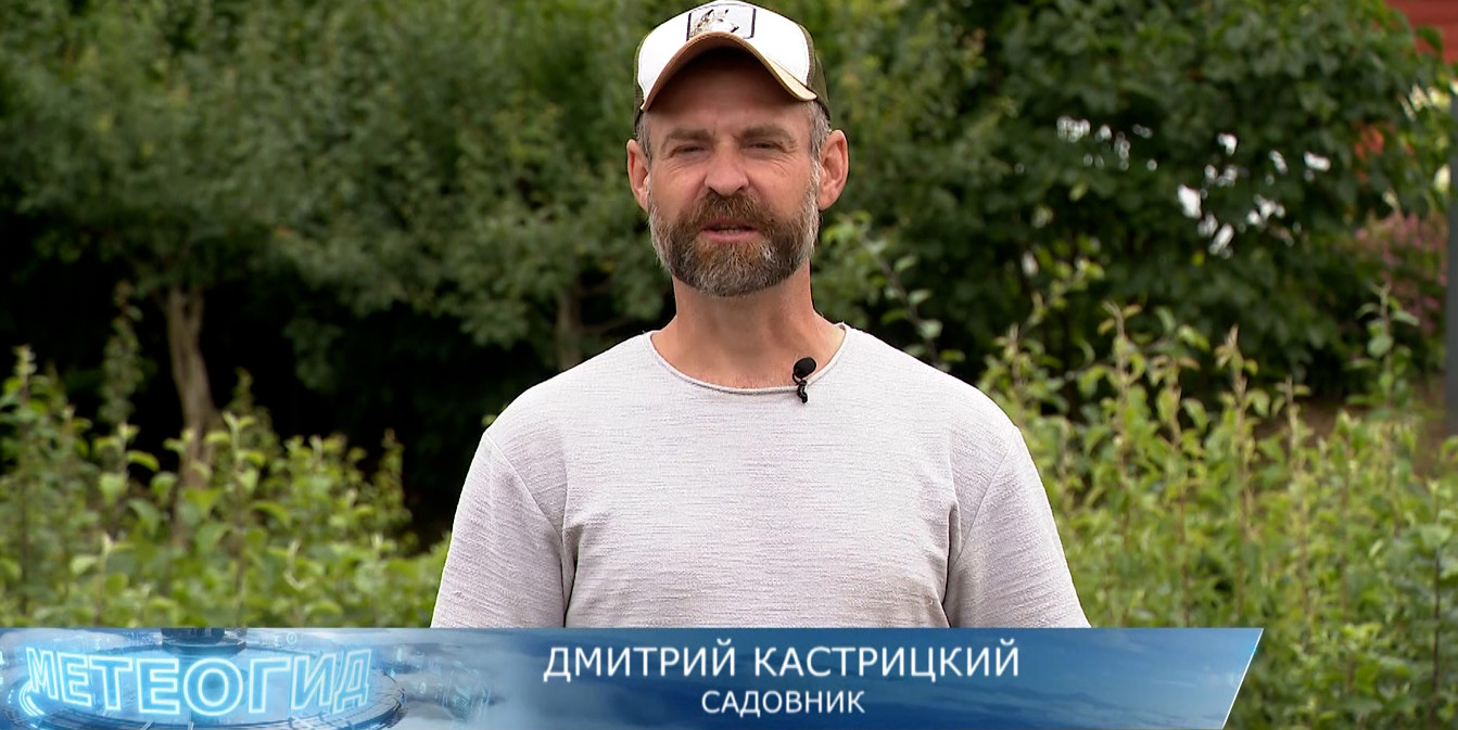 садовник Дмитрий Кастрицкий