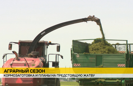 Наверстывая упущенное: аграрии Беларуси активно занимаются кормозаготовкой